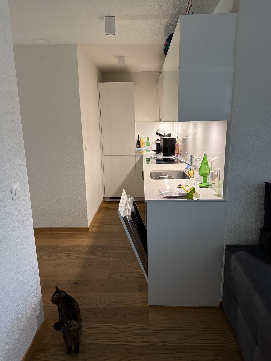 4 ½ rooms apartment
