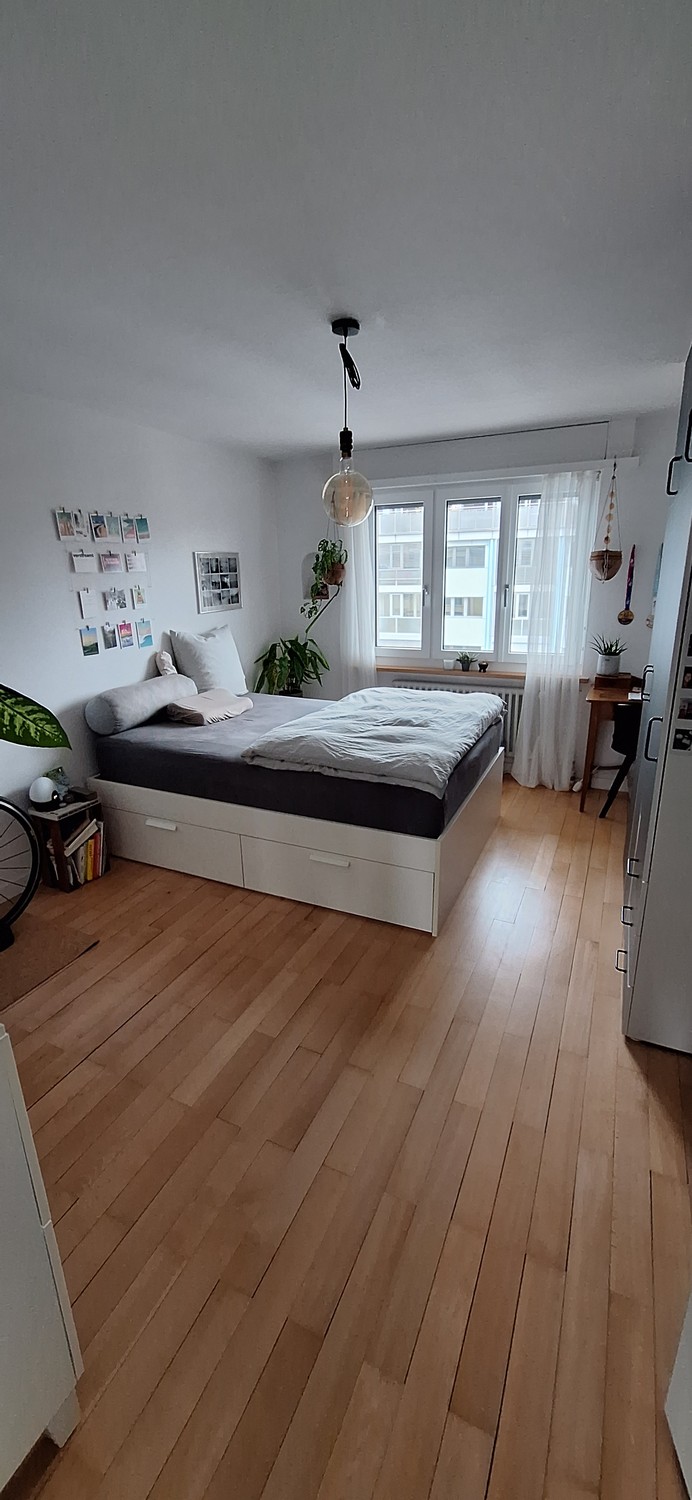 Room in a shared flat