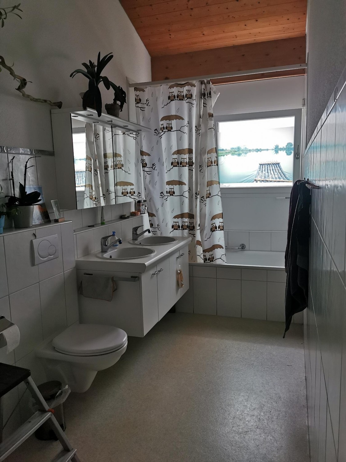 Room in a shared flat