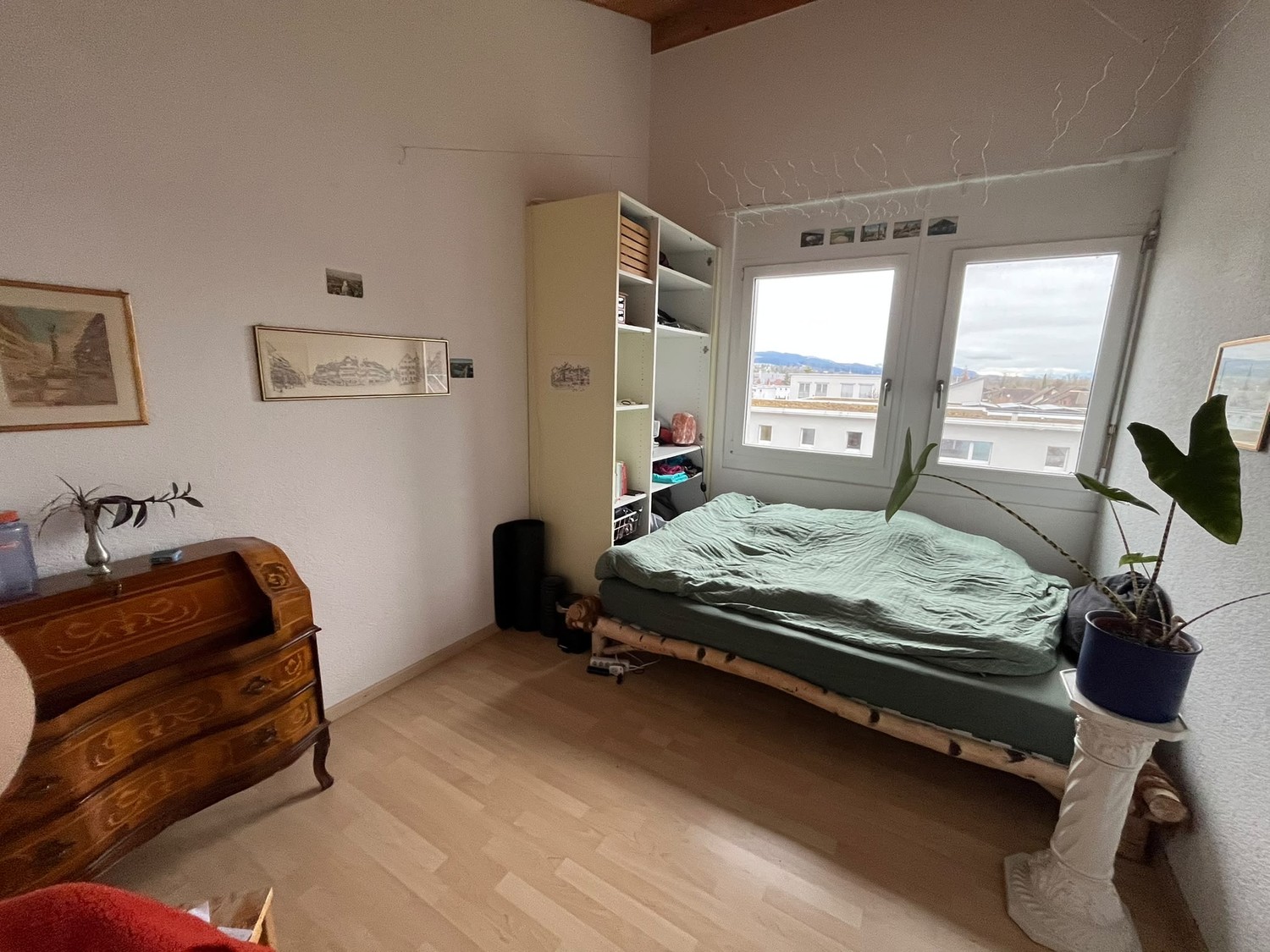 Room in a shared flat