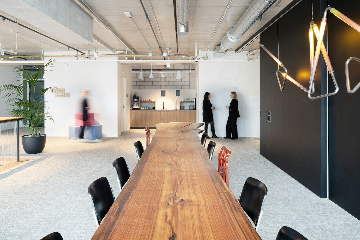 245m² office