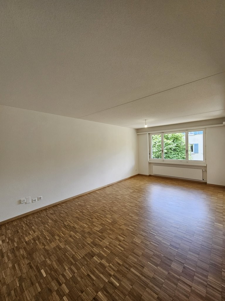 2 ½ pièces appartement (5)