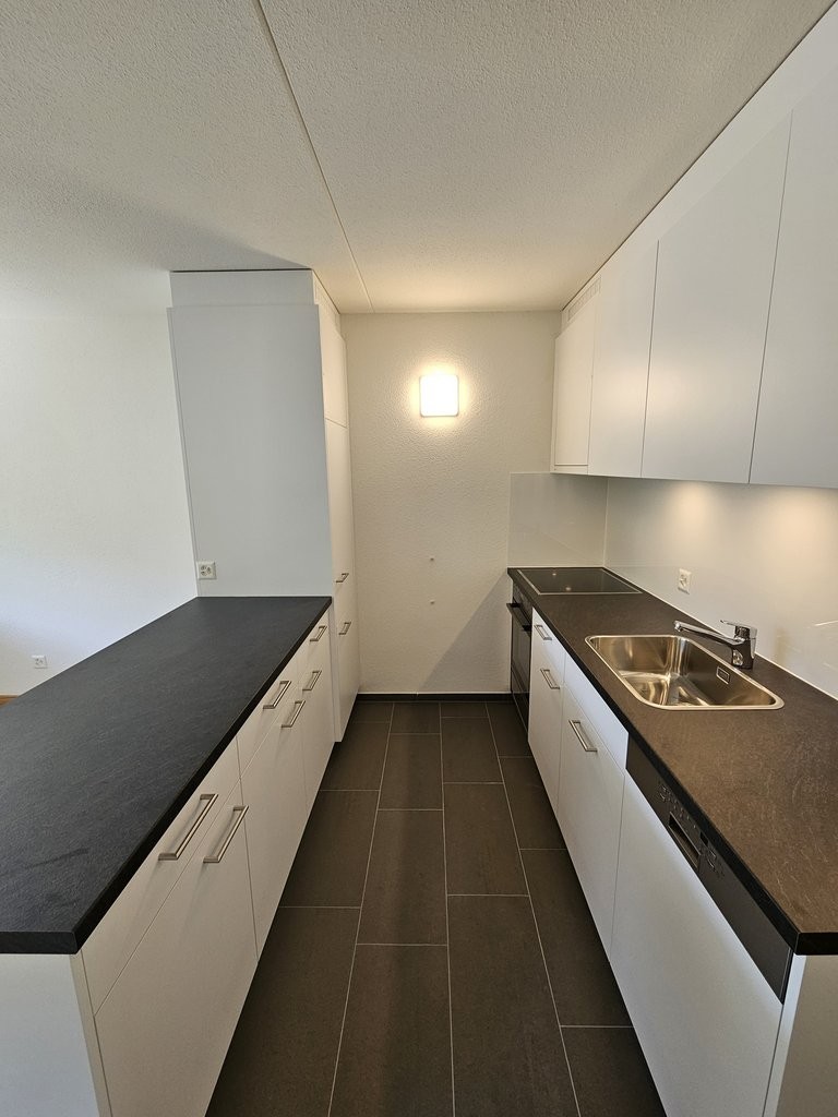 2 ½ pièces appartement (2)