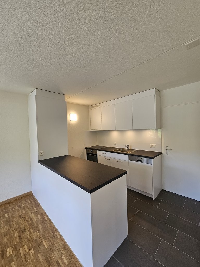 2 ½ pièces appartement (3)