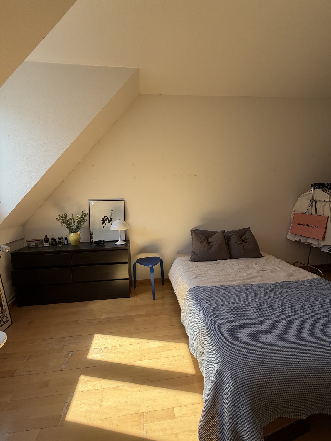 Room in a shared flat