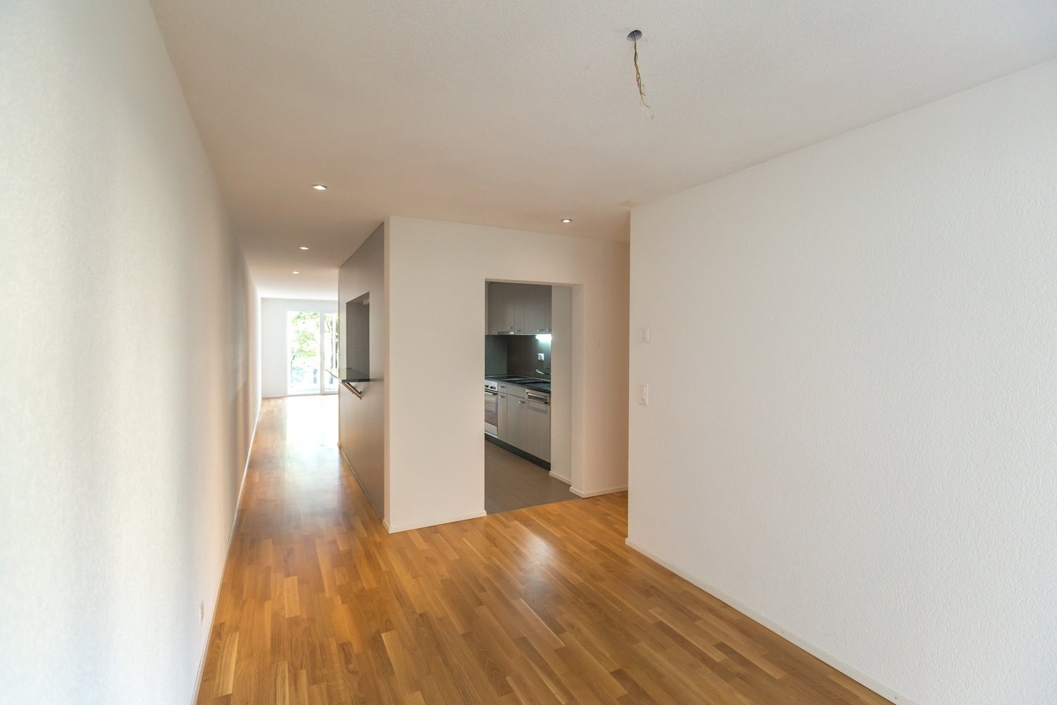 4 ½ rooms apartment (7)