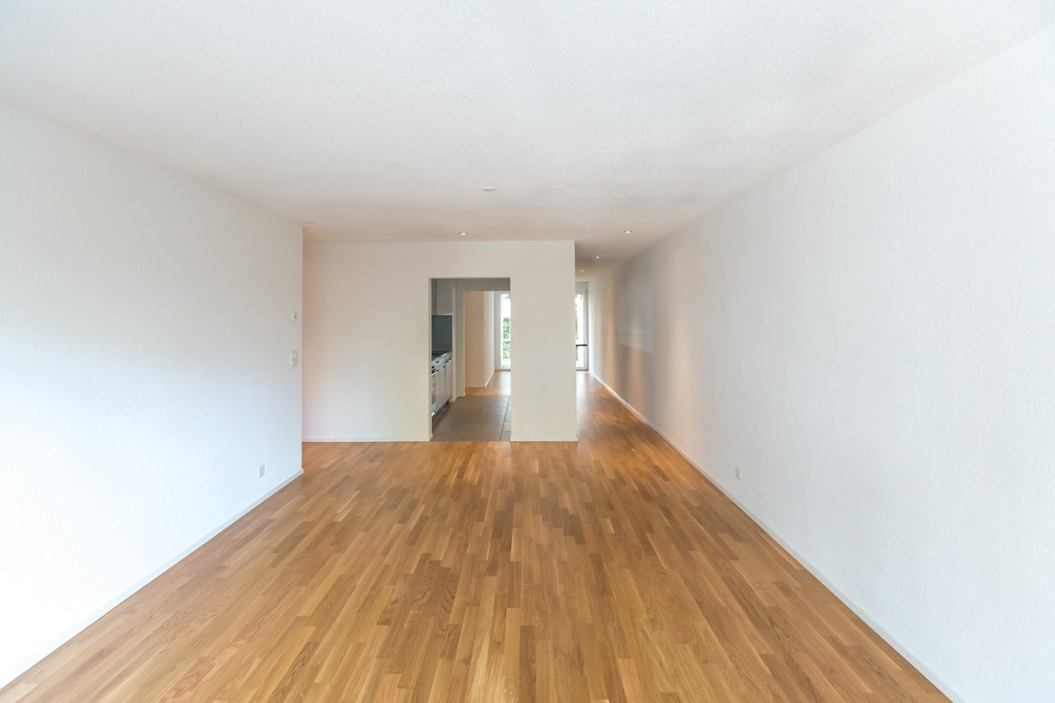 4 ½ rooms apartment (4)