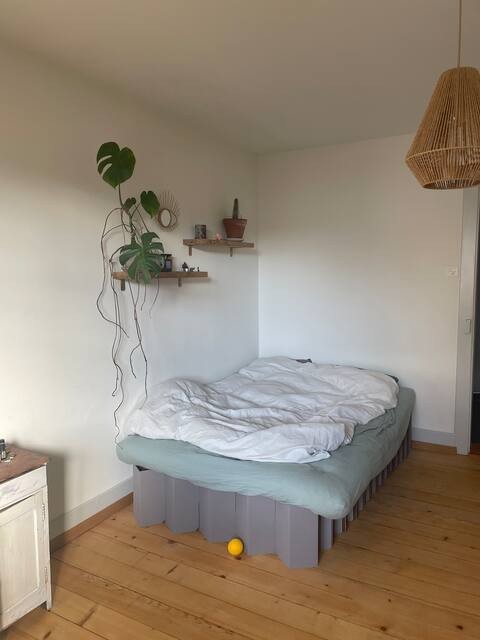 Room in a shared flat