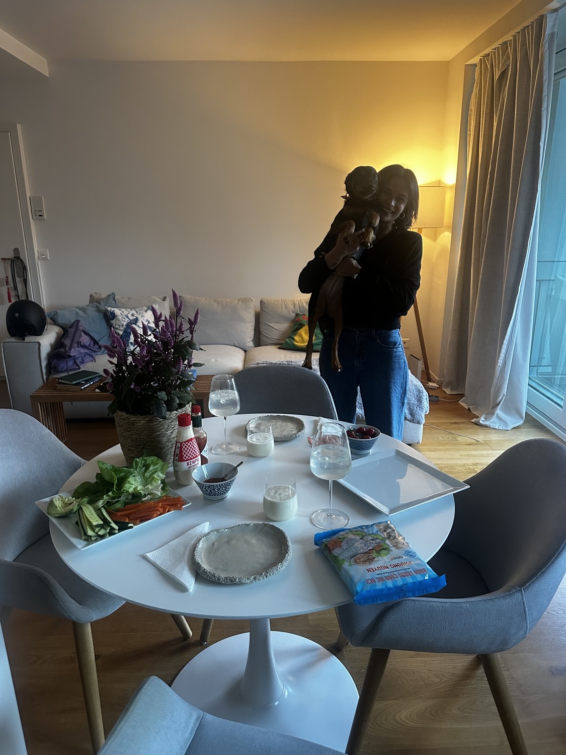 appartement de 1 ½ pièce