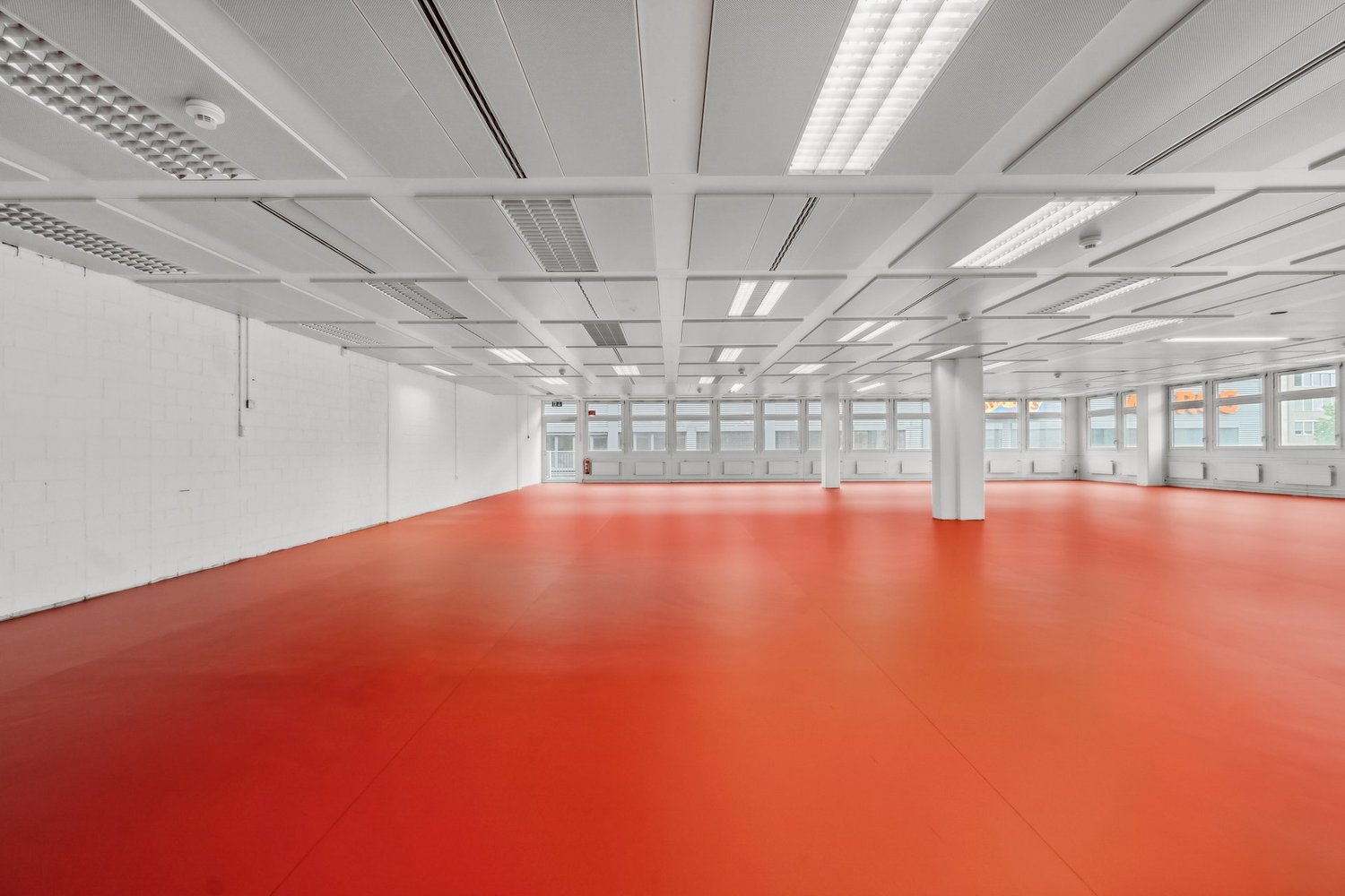 364m² commercial, photo 5 of 10