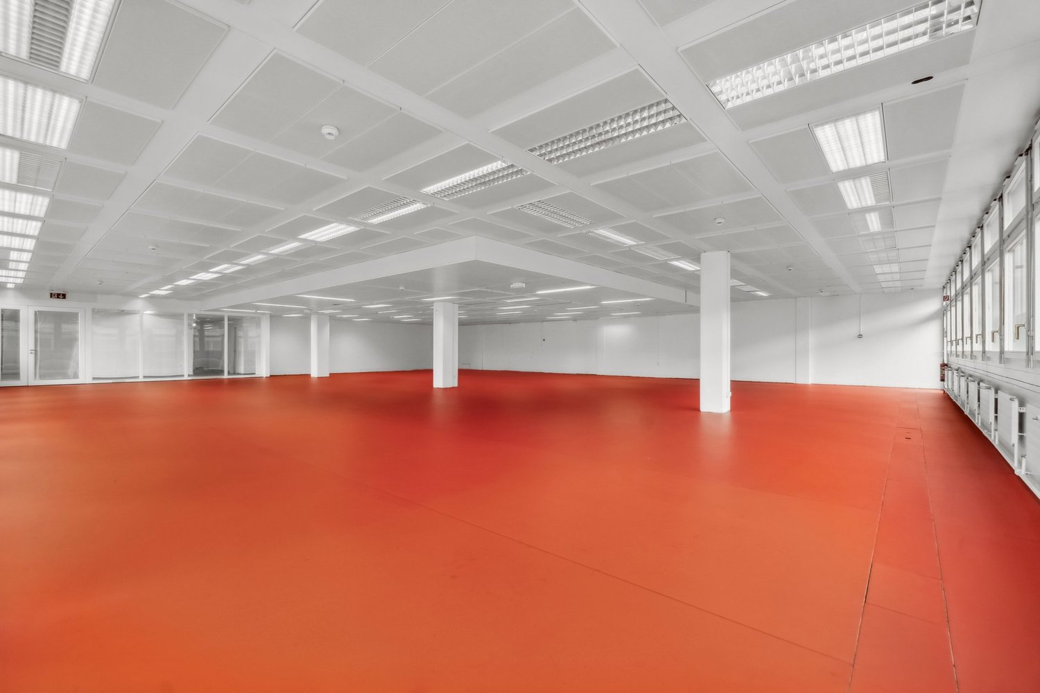364m² commercial, photo 7 of 10