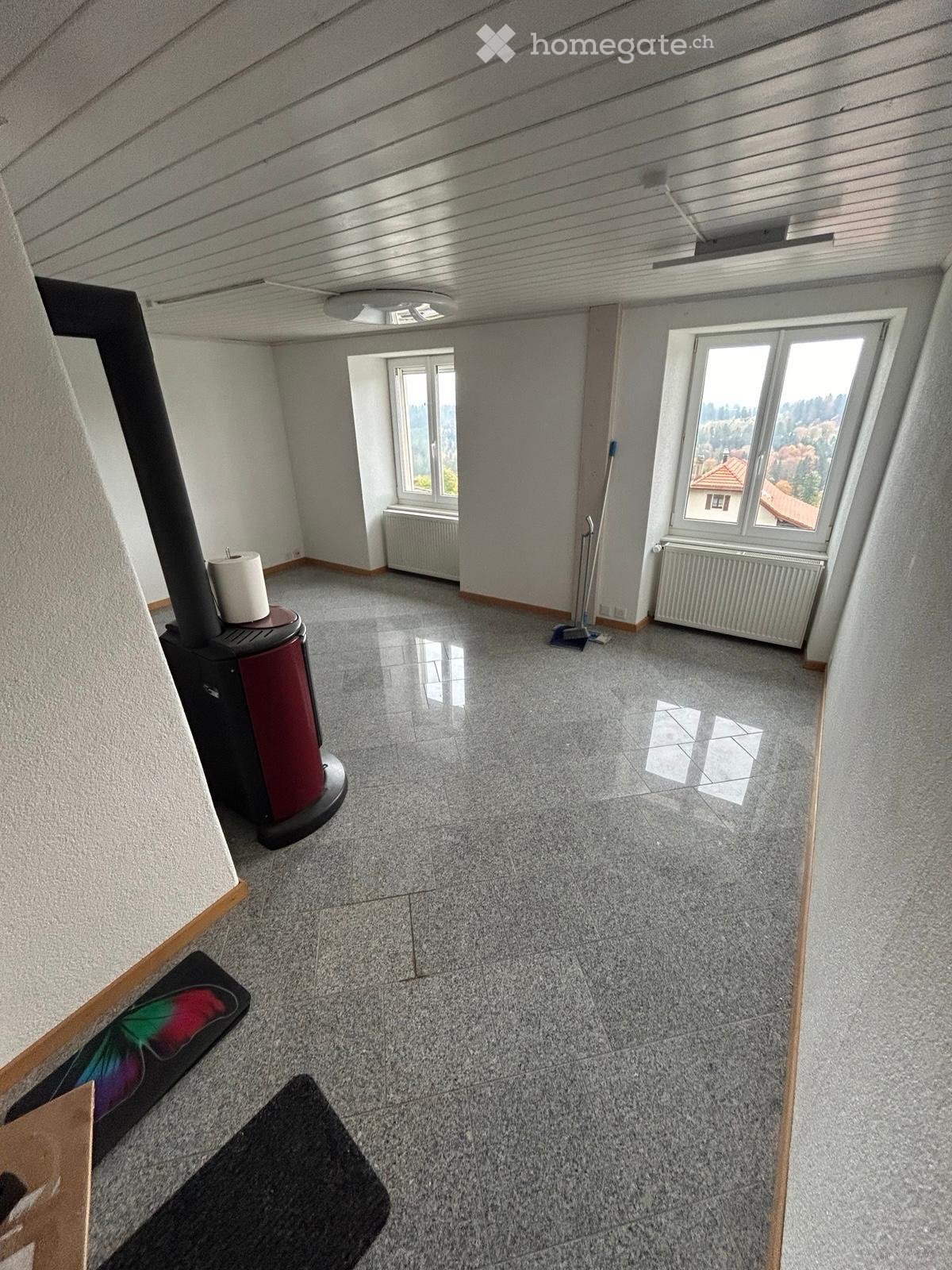 4 ½ rooms apartment