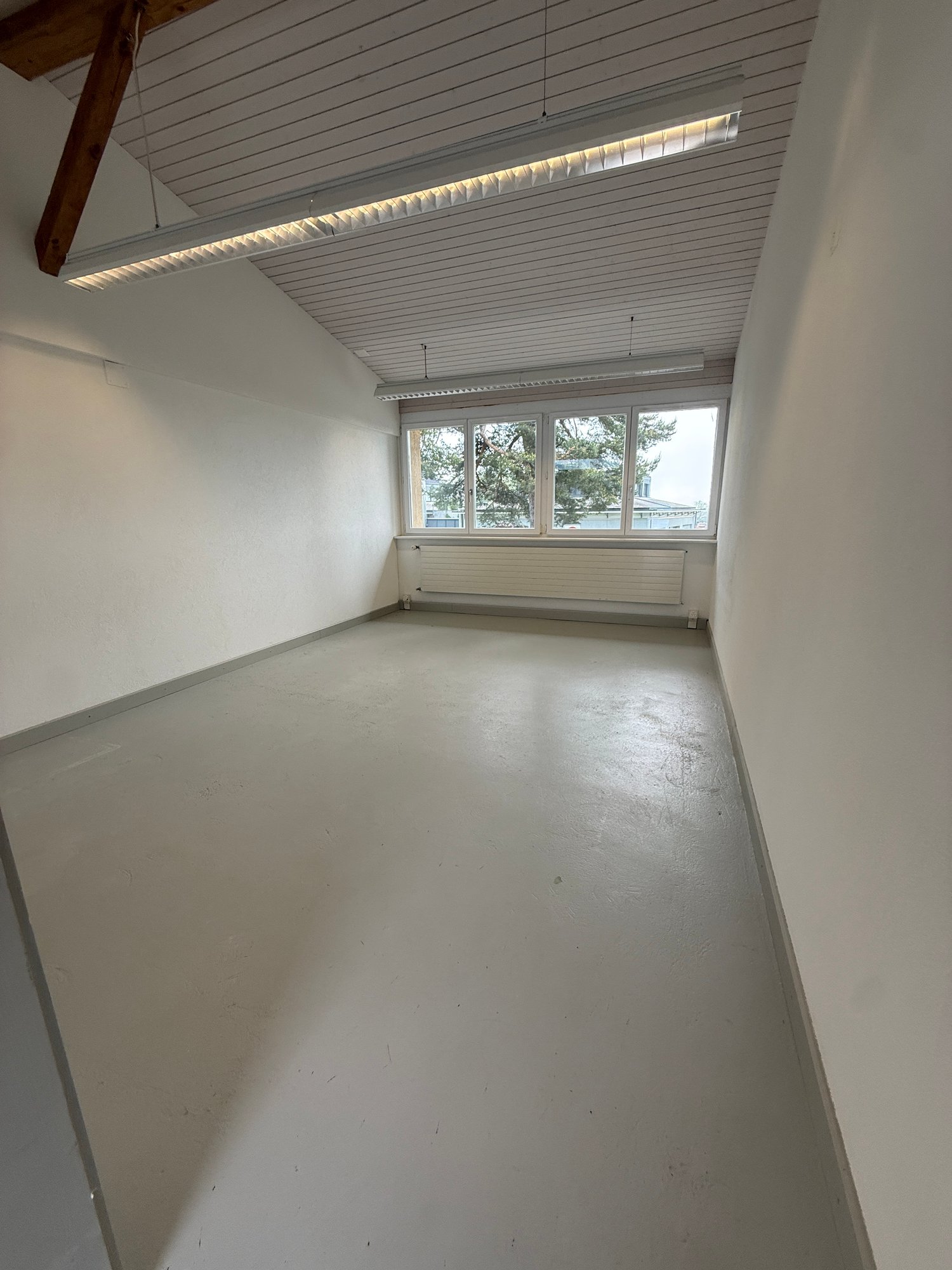 26m² commerciale