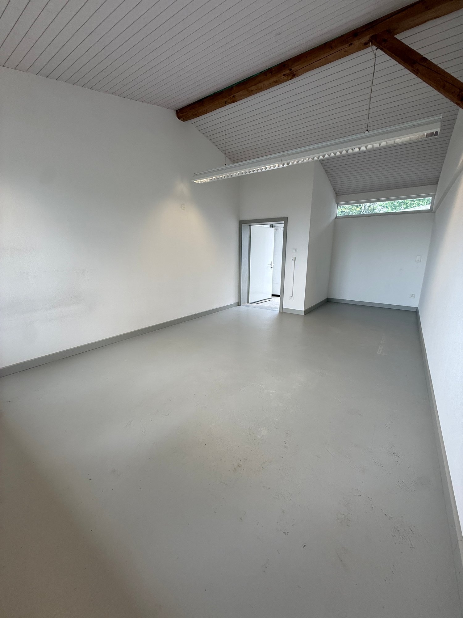 26m² commerciale