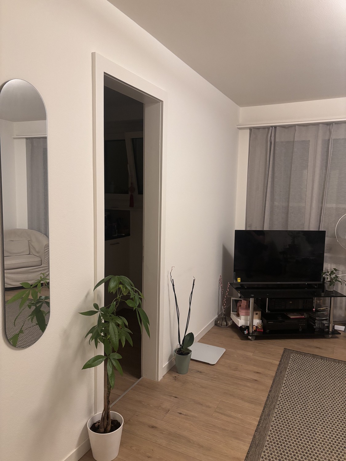 1 room apartment, photo 3 of 4
