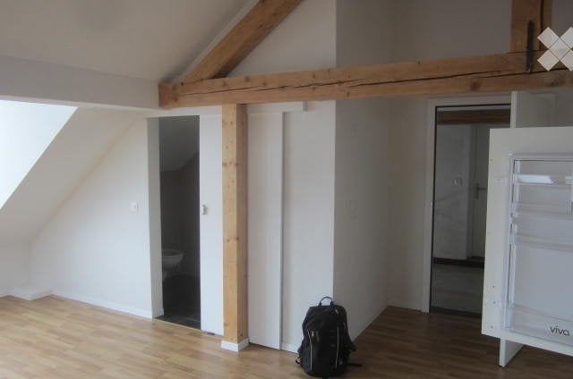 3 ½ Zimmer Wohnung