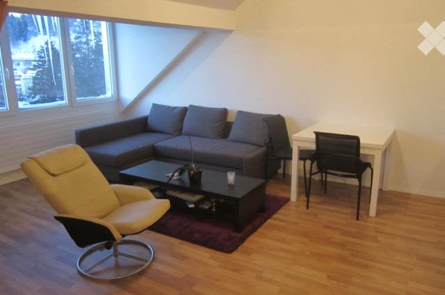 3 ½ Zimmer Wohnung