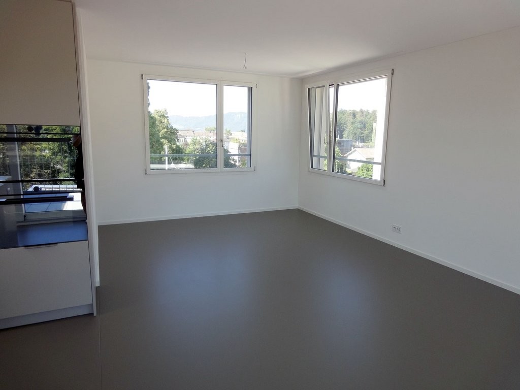 1 ½ rooms duplex