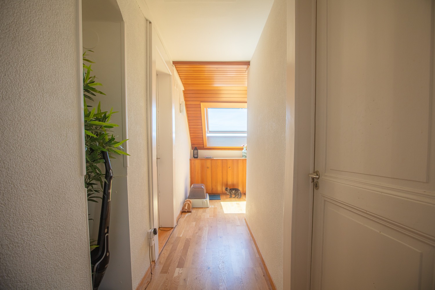 Room in a shared flat, photo 3 of 10