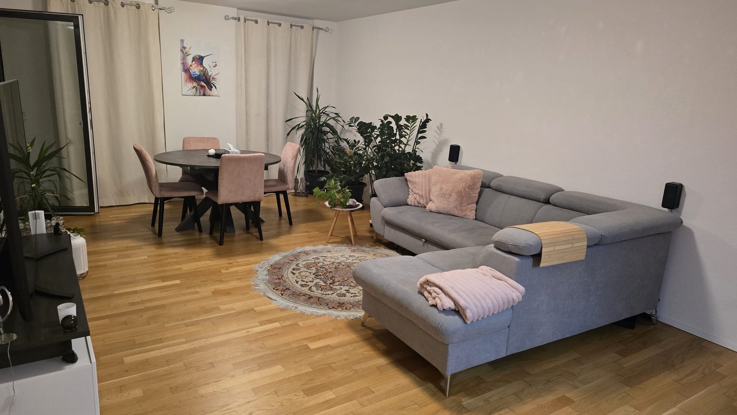 Appartamento di 2 ½ locali