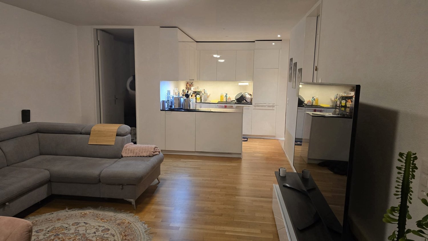 Appartamento di 2 ½ locali