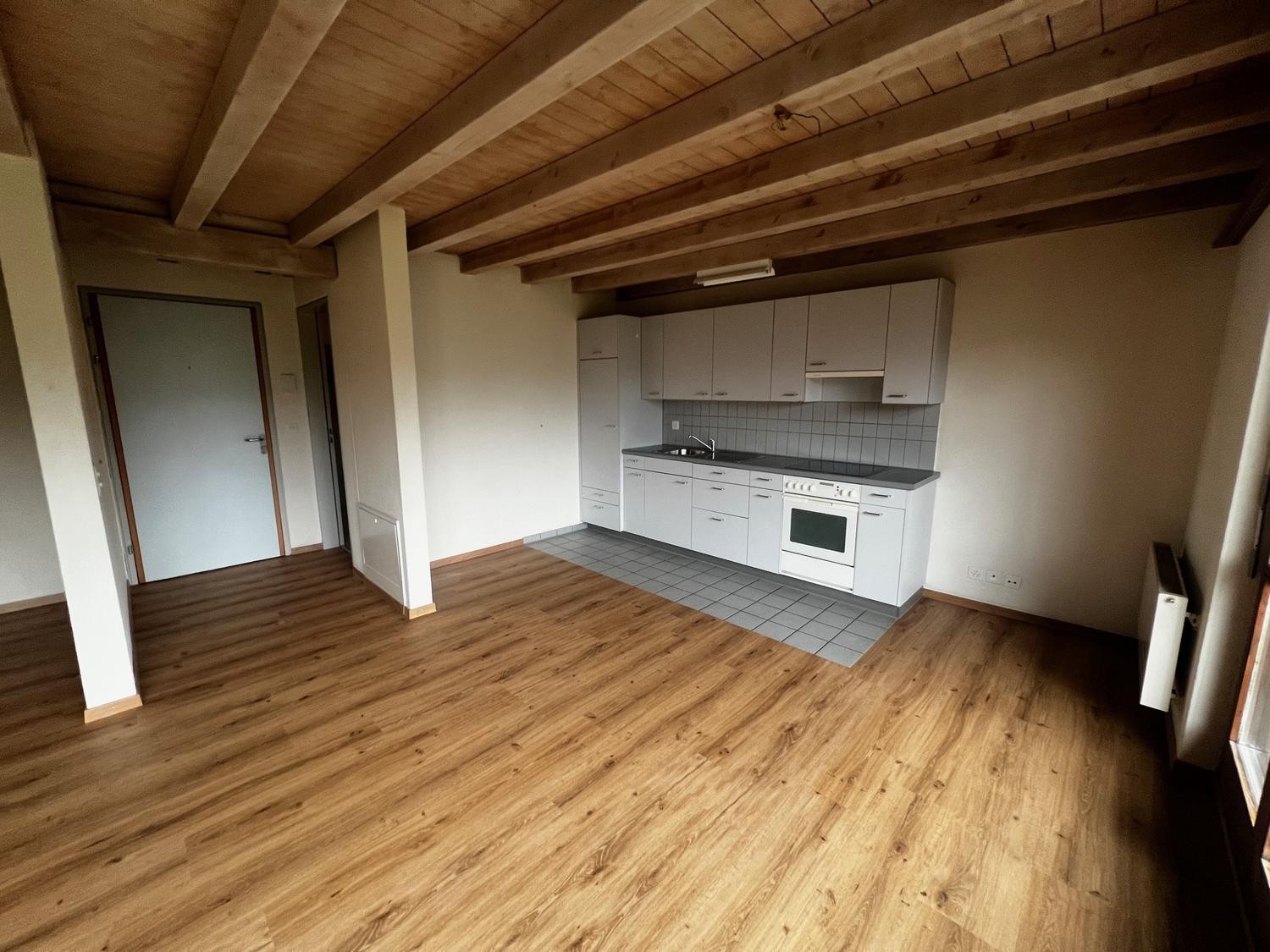 Appartement 1 ½ pièces