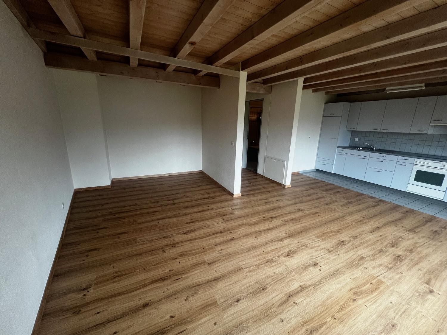 Appartement 1 ½ pièces