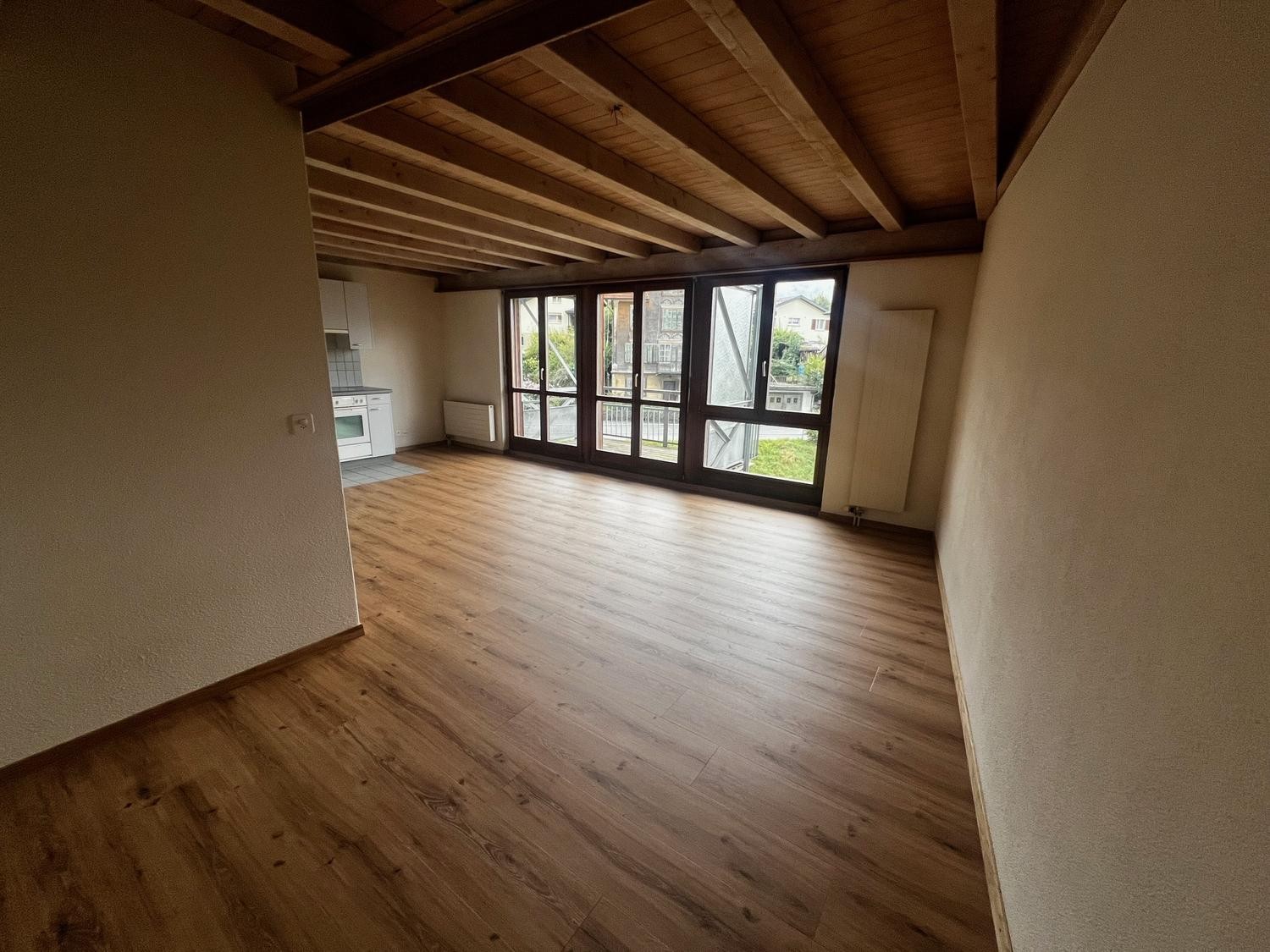 Appartement 1 ½ pièces