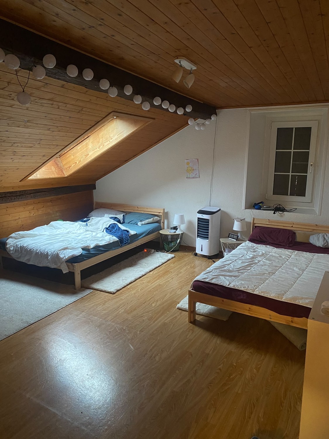 Room in a shared flat