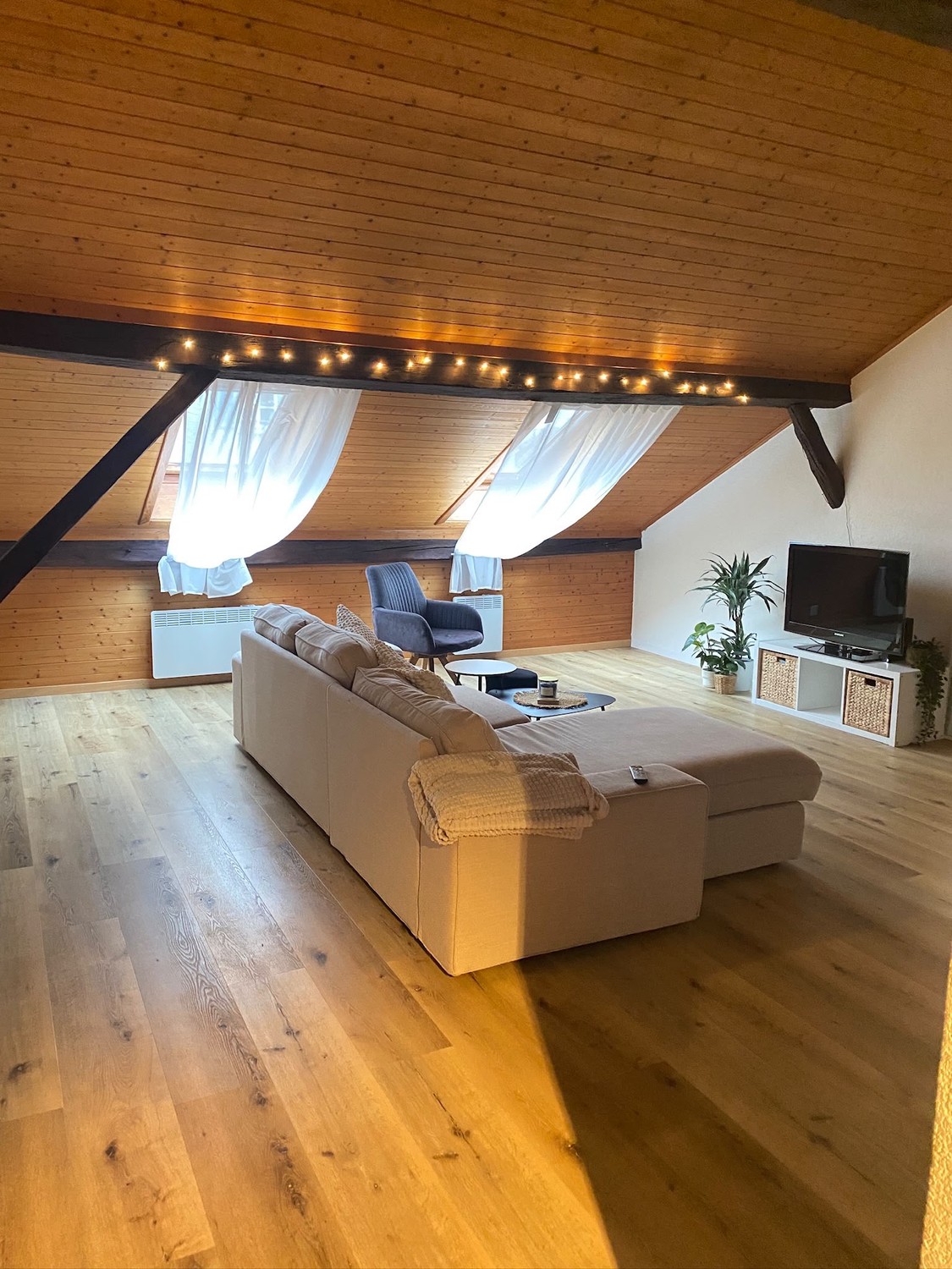 Room in a shared flat