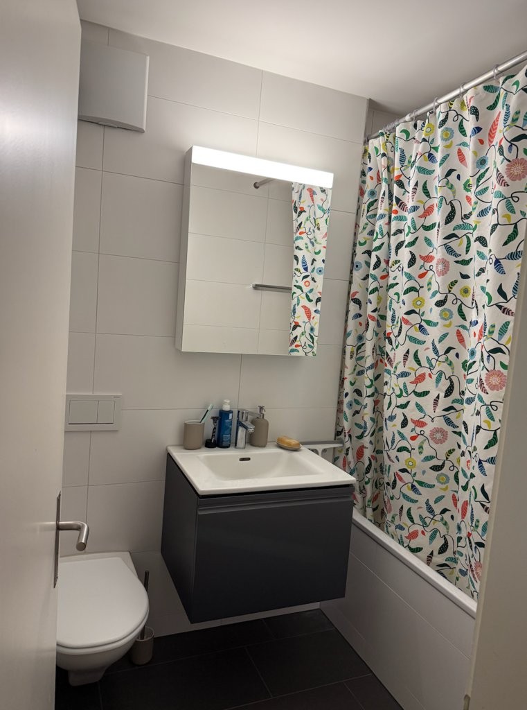 Appartamento di 2 ½ locali, foto 4 di 5