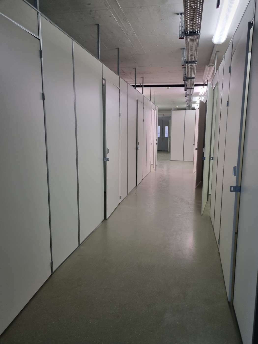 Cellar compartment
