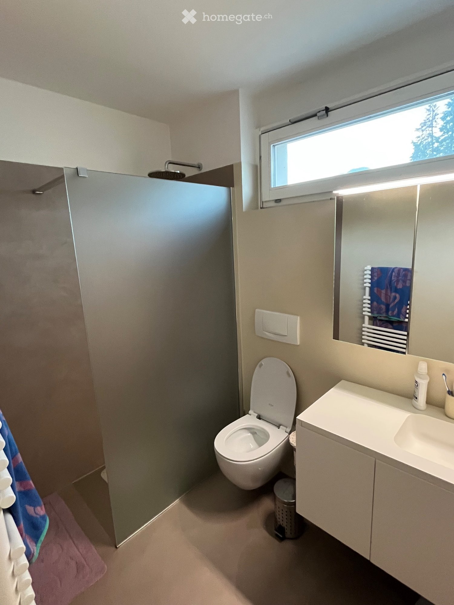 3 ½ rooms apartment (3)