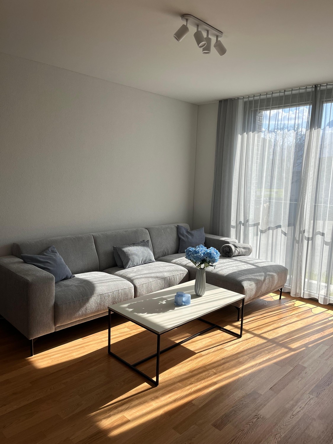 4 ½ rooms apartment