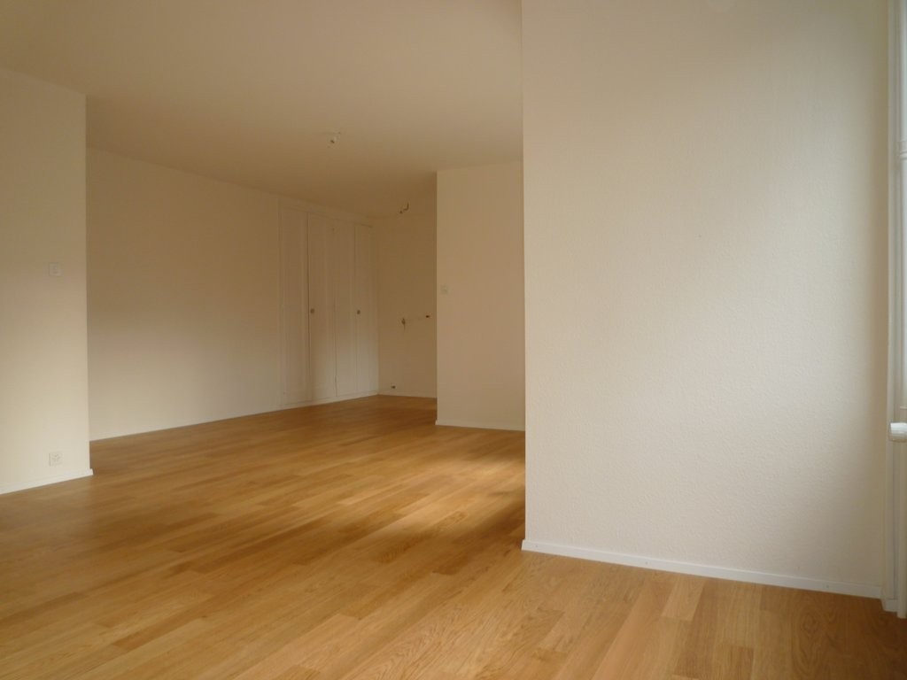 5 ½ rooms apartment (5)