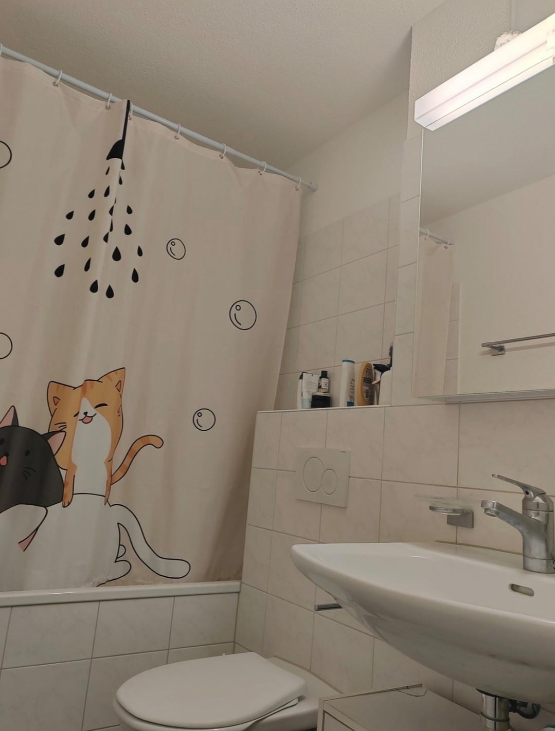 Room in a shared flat