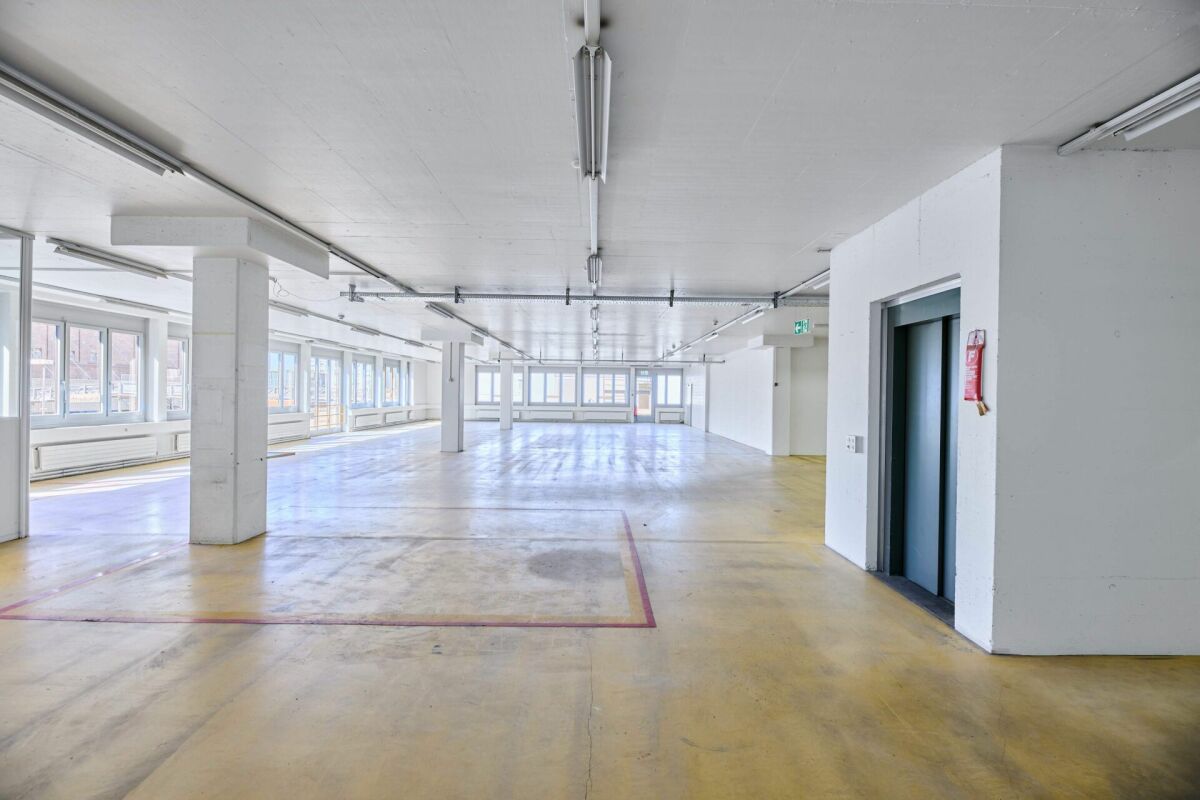 790m² commercial, photo 5 of 10