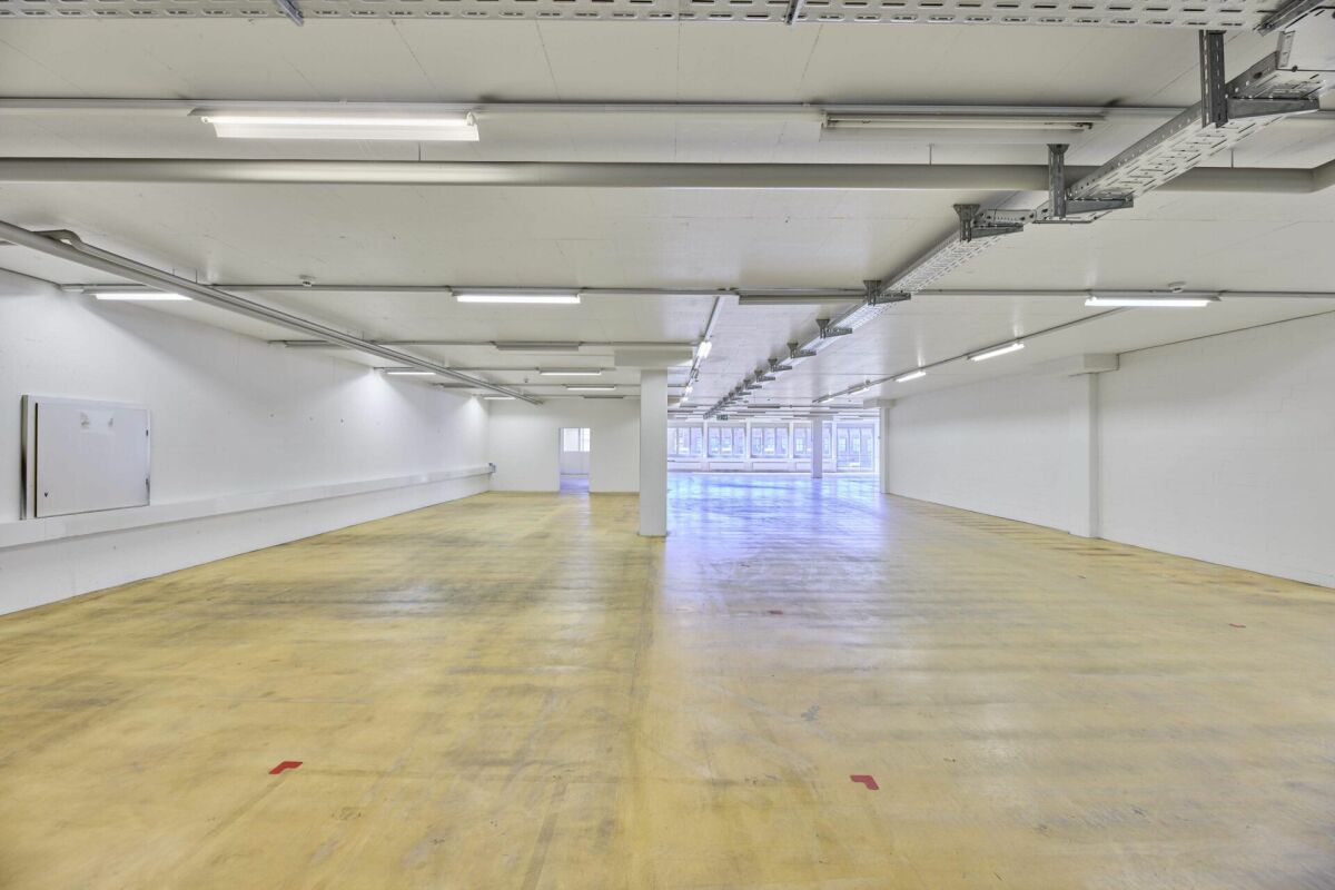 790m² commercial, photo 6 of 10