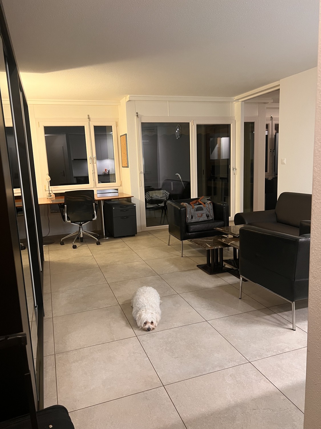 2 pièces appartement, photo 1 sur 8