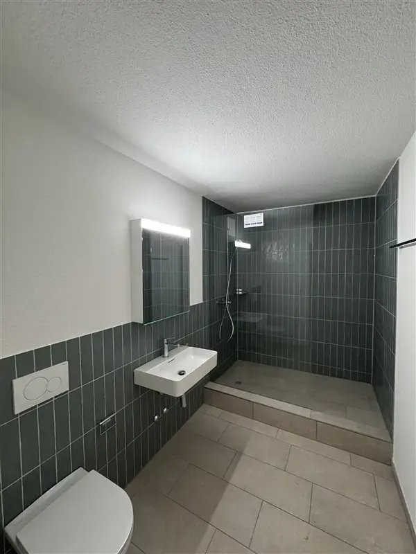 2 ½ room apartment