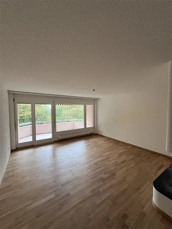 2 ½ room apartment