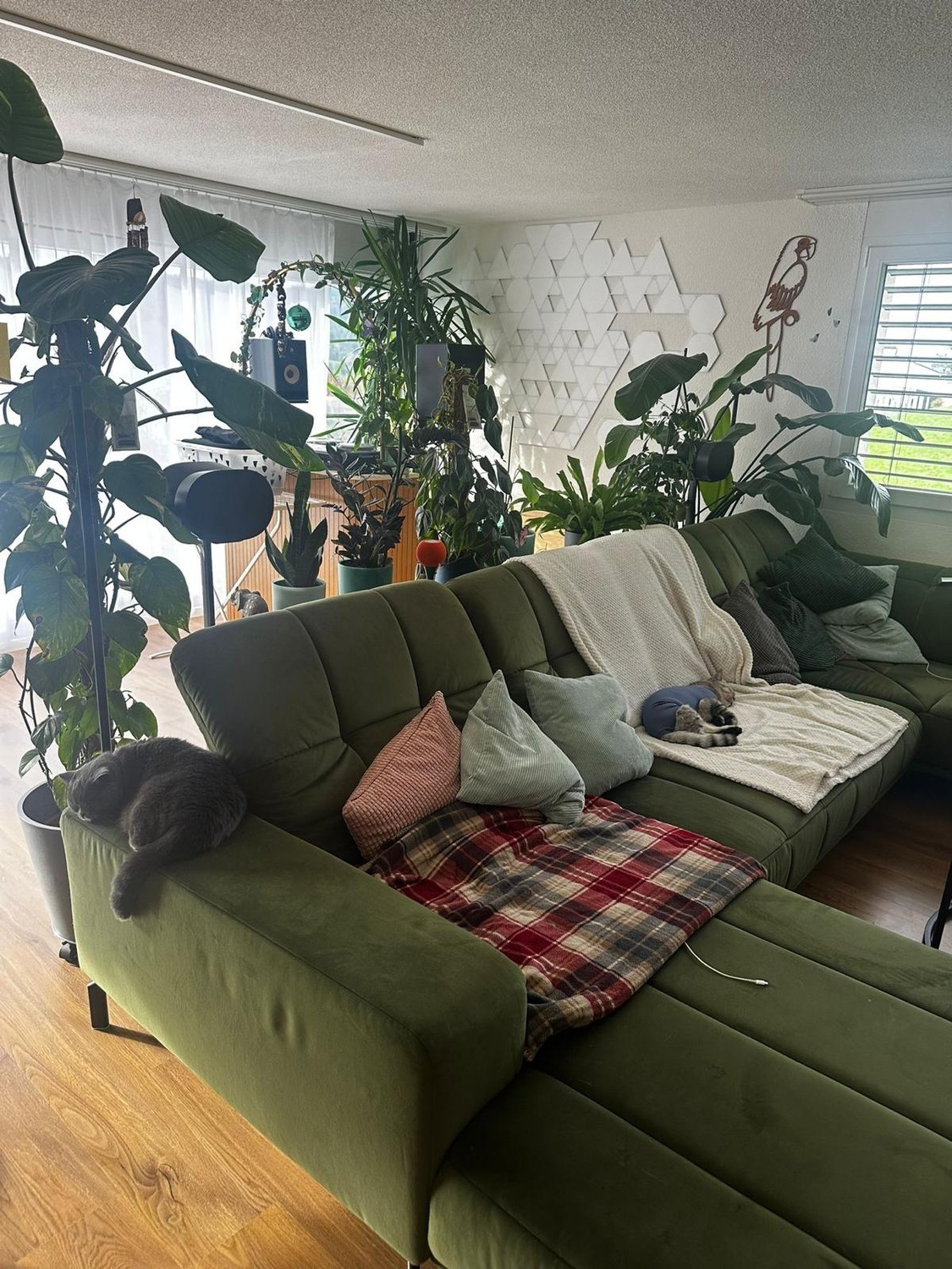 Room in a shared flat, photo 5 of 9