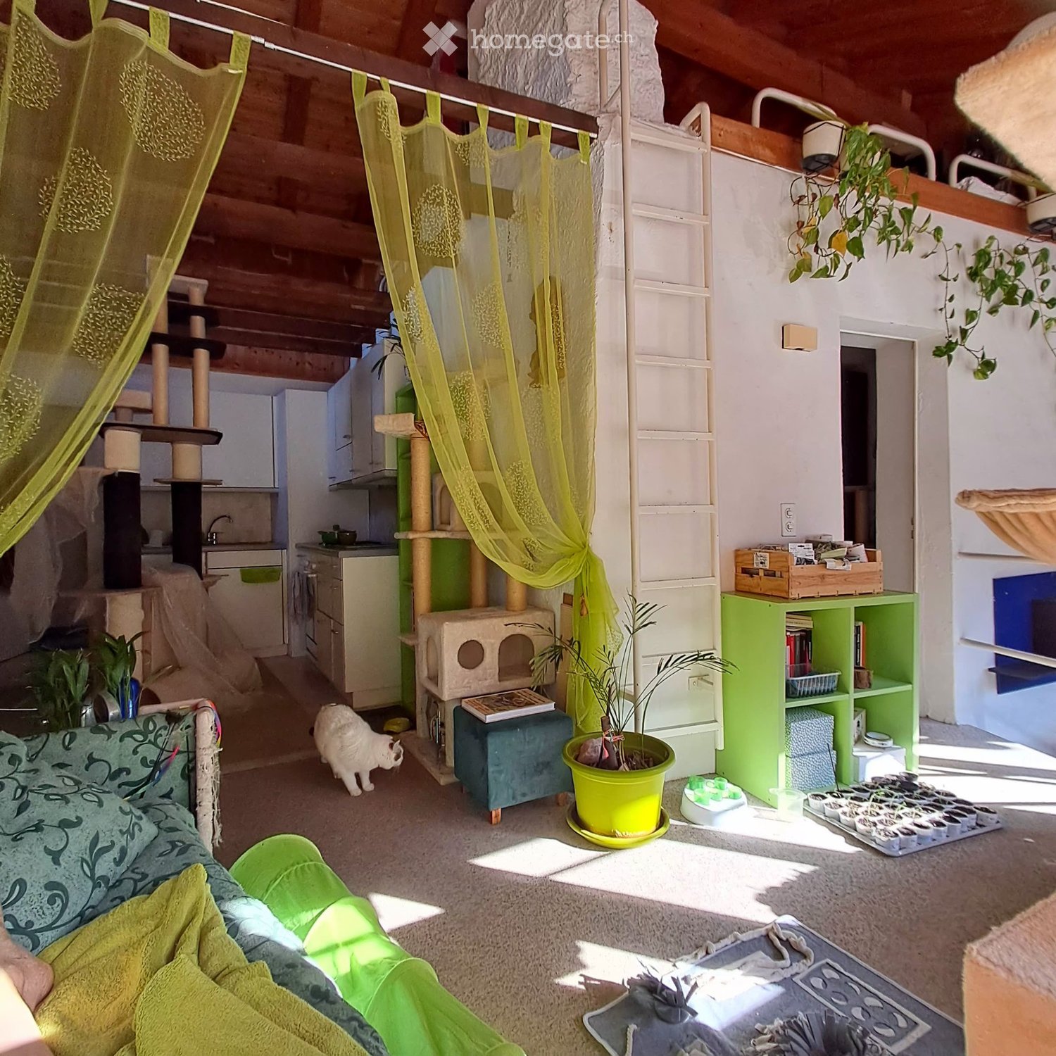 1 ½ rooms apartment