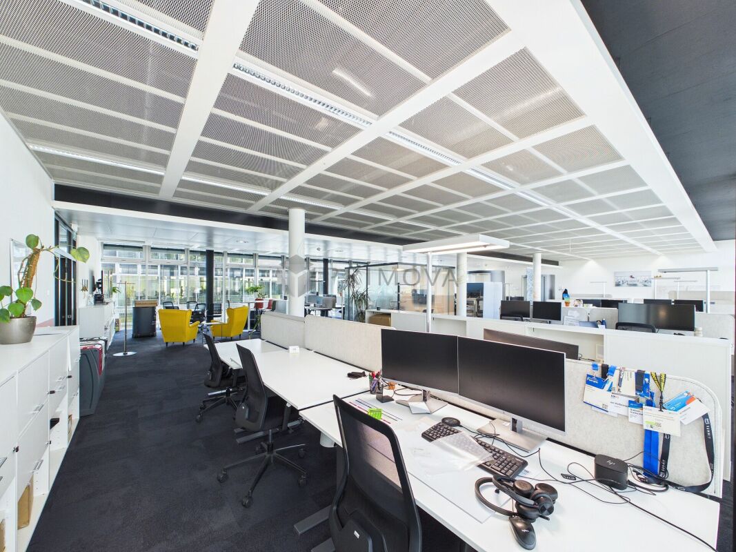 417m² office, photo 9 of 10
