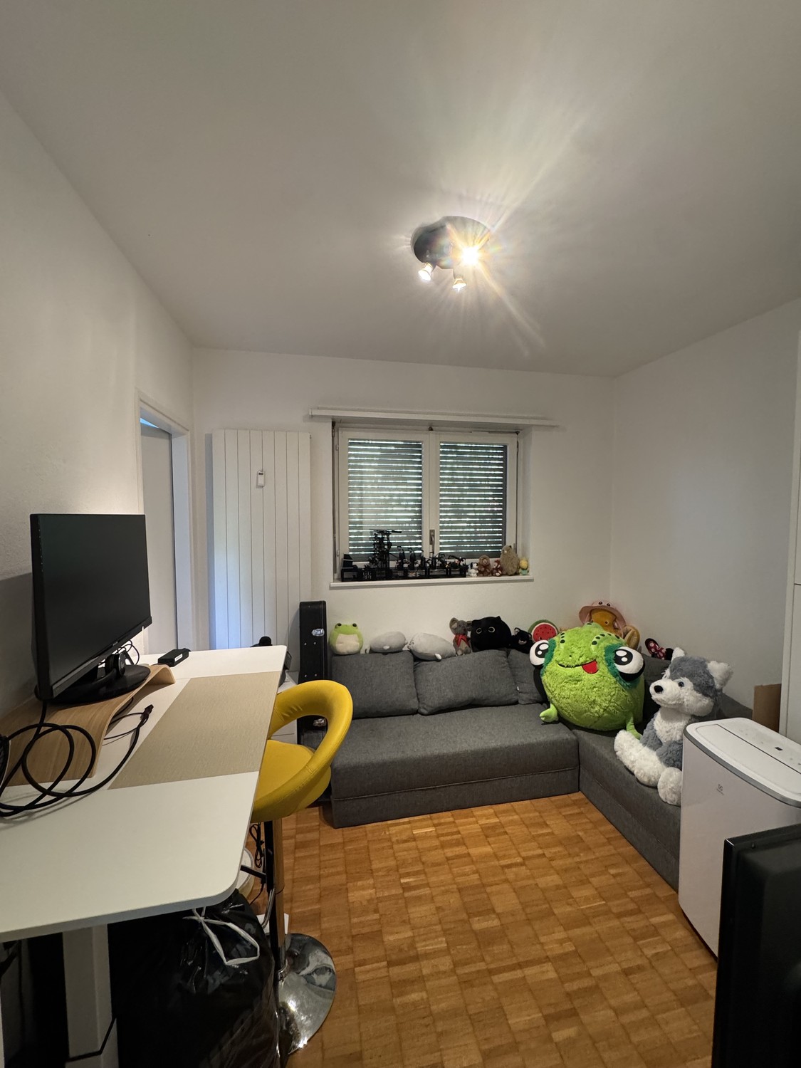 Appartamento di 3 ½ locali