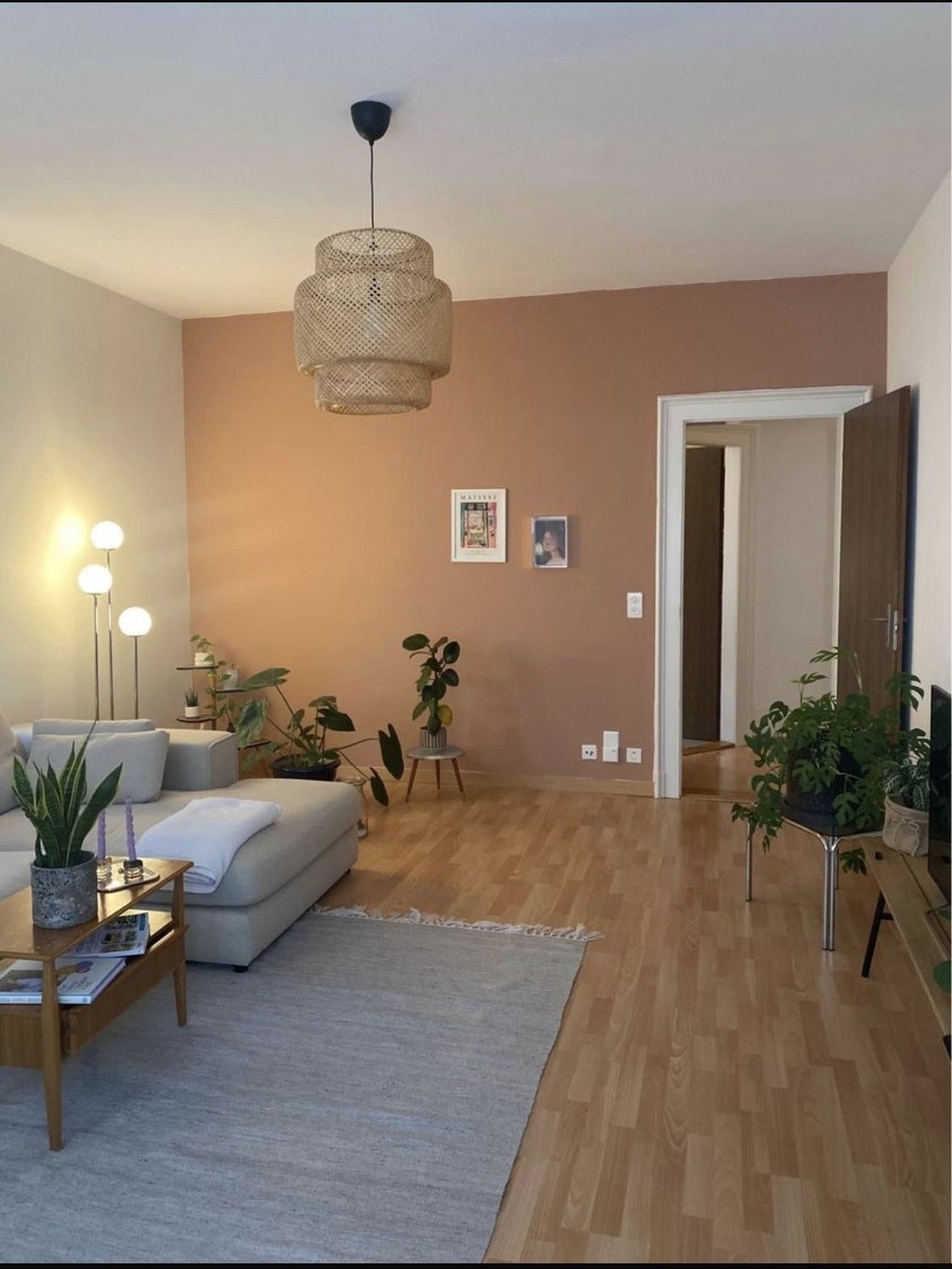 Appartement de 3 ½ pièces