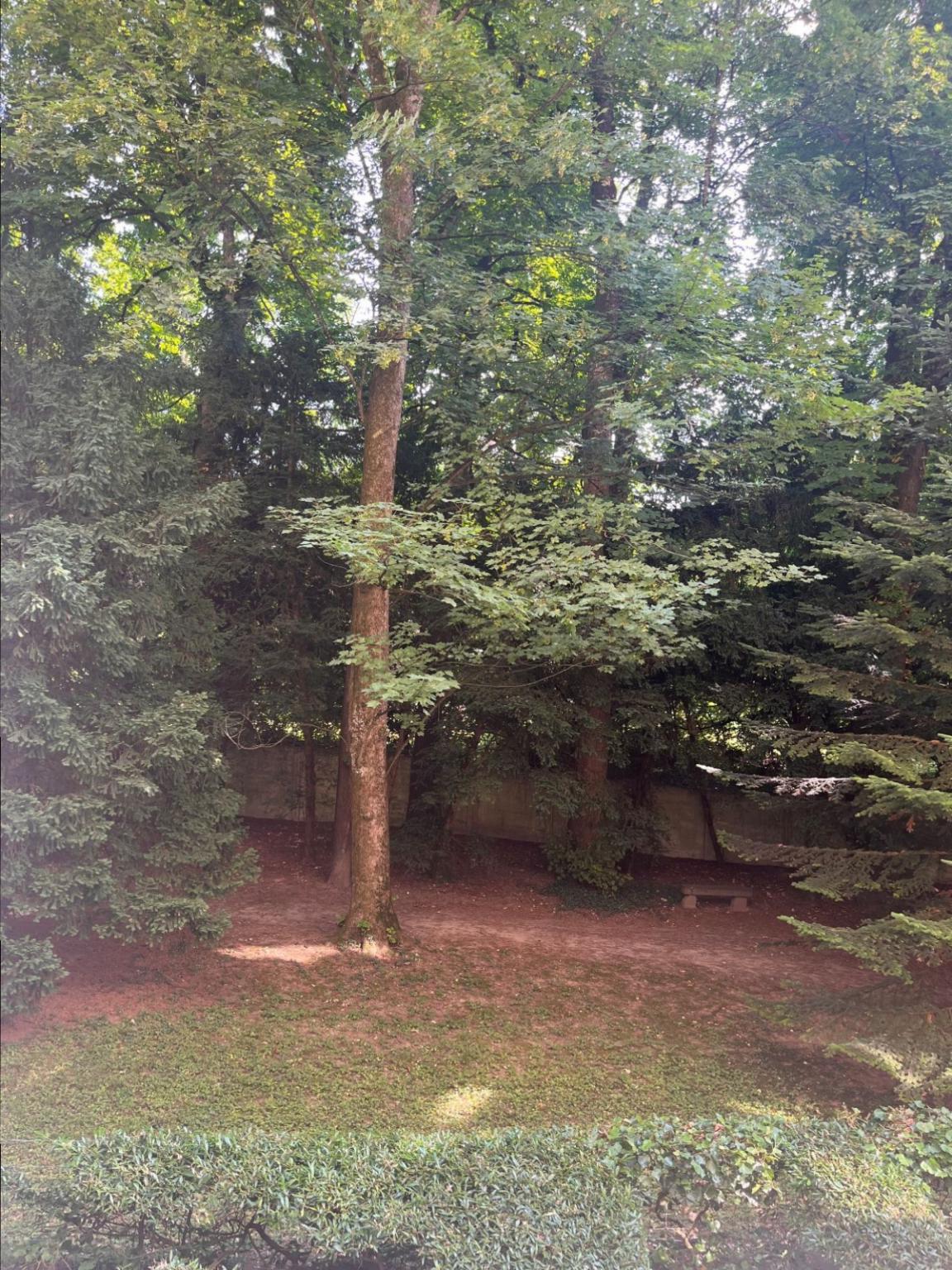 3 ½ rooms apartment, photo 9 of 9