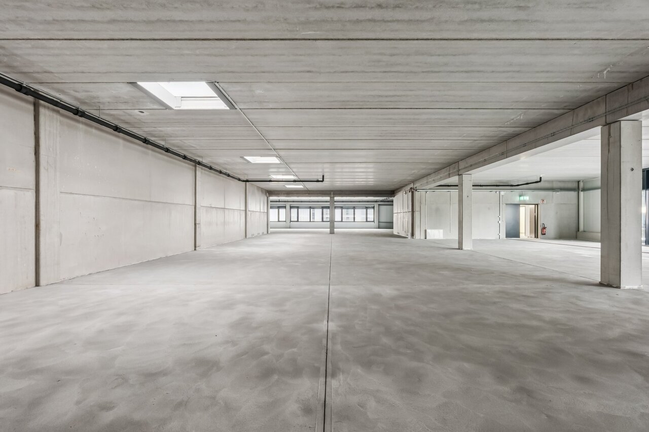 425m² commercial, photo 8 of 10