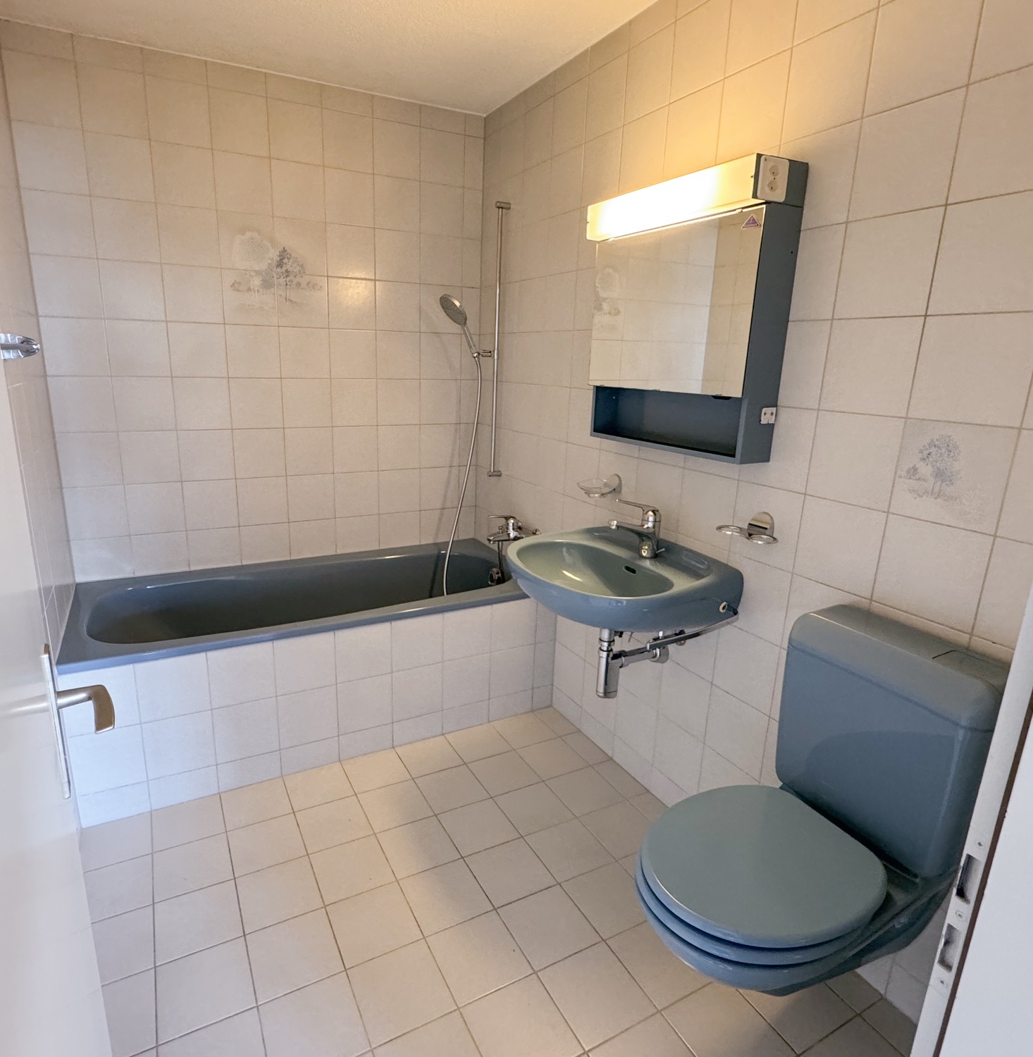 Appartement de 2 ½ pièces