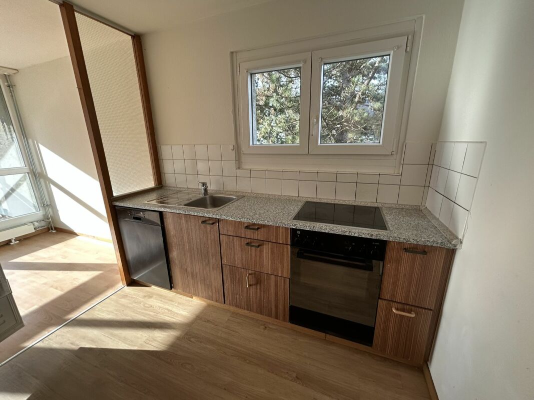 5 ½ pièces appartement